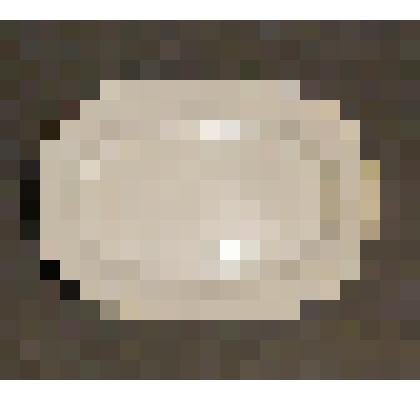 Тарелка пирожковая