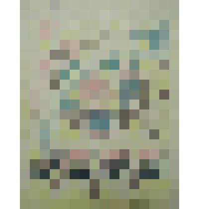 Орнаменты. Проекты шарфа. Рисунок