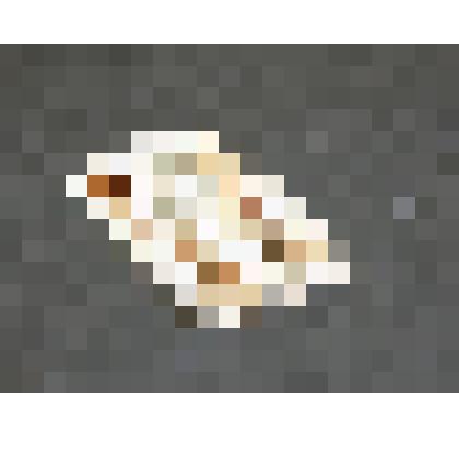 Карта. из колоды для игры в преферанс и вист