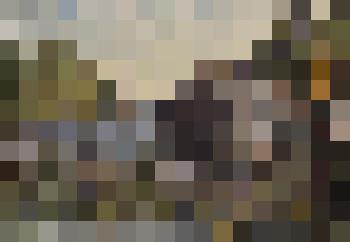 "Демидова заимка". Картина