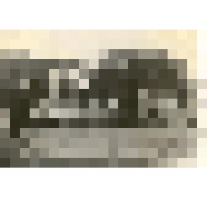 Фотография: уборка урожая в подсобном хозяйстве Каменской жилкооперации