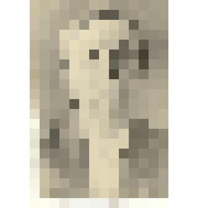 Фотография: передовик сельского хозяйства Каменского района Алтайского края