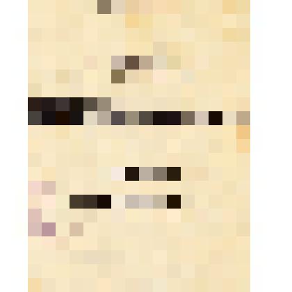 Книга "История германской социал-демократии" Том 4 "До выборов 1903 г."