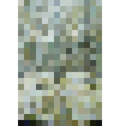 Этюд. Раменский парк