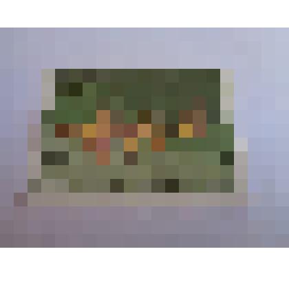 Марка "Ca nham ho Heterodontus zebra"