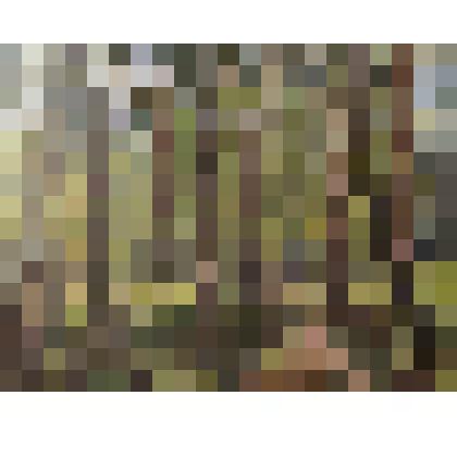 Картина "Аллея"