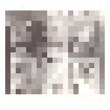 Фотография: экспозиция Каменского краеведческого музея