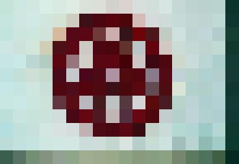 Знамя Мира харбинского "Содружества"