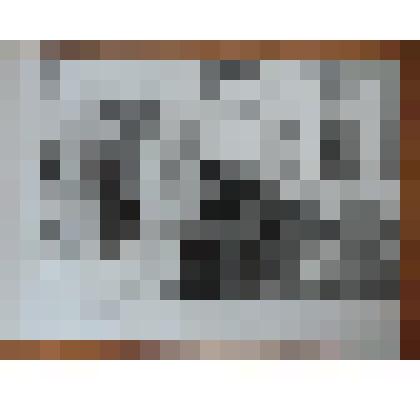 Фотография-Золотая свадьба семьи Мечевых