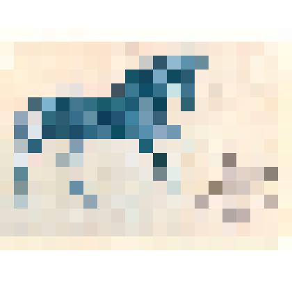 Открытка. Кабардинская порода. Художник А. Глухарёв