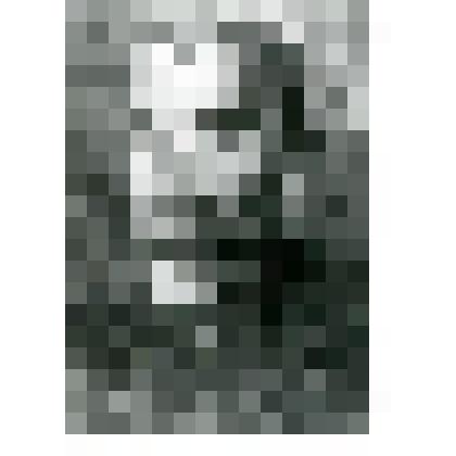 Фотокопия. Березкин Н.Н.-сопровождал экспедицию Г. Седова