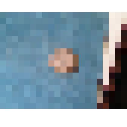 Конкреция с черепом рыбы, 3 фрагмента