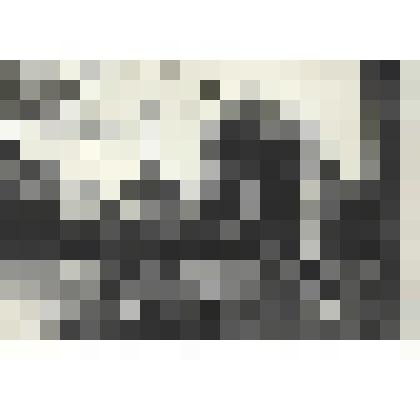 Фотографии. Фото ч/б. После боя в г. Ландсберге под Берлином, апрель 1945 г