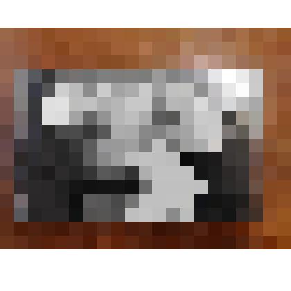 Фотография чёрно - белая. Механизатор Полкова Зоя Дмитриевна