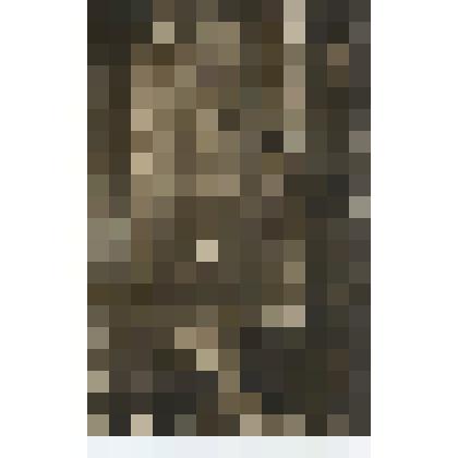 Открытка. Вестминстерское аббатство. Тронный зал  для коронации с троном короля Эдуарда