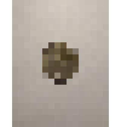 Монета 2 дойчмарки, ФРГ