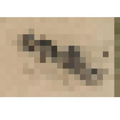 На крутом берегу