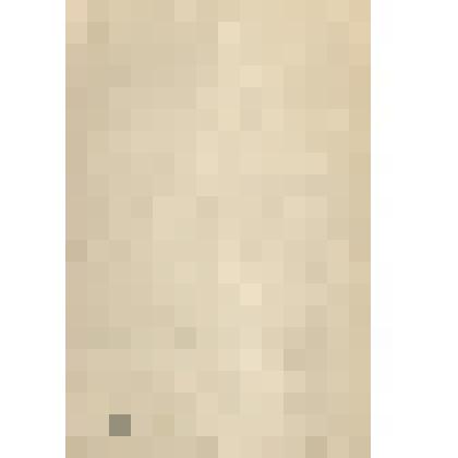 Справка инспекции гос.статистики о проведении Всесоюзной переписи населения в г.Енисейск и Енисейском районе, 1979г