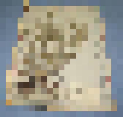 Ботаническая коллекция. Лапчатка просторная,  на гербарном листе, Абаканский пединститут, садик, южная сторона. Rosaceae  patentilla Supina