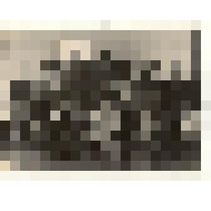 Фотография: V группа трактористов совхоза "Октябрь" Каменского района Алтайского края