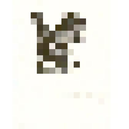 Гравюра «Белочка с добычей»