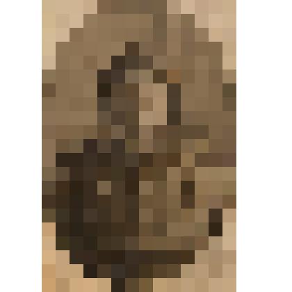 Фотография участника Великой Отечественной войны 1941-1945 гг