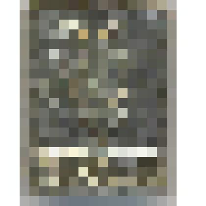 Значок "Гусь Хрустальный"