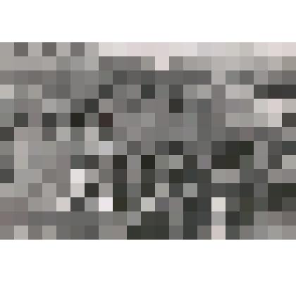 Фотография. Демонстрация на 7 ноября