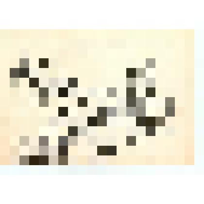 Гурзуф. Лодки