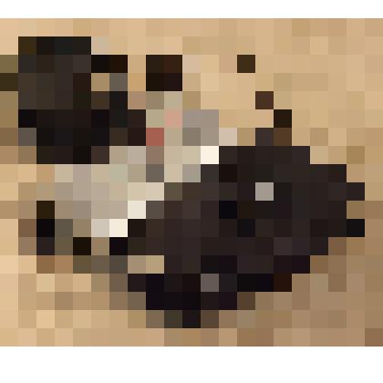 Фотоаппарат «KODAK» (модель КЕ60) № 06275, из коллекции предметов быта от сотрудников Саратовского областного музея краеведения