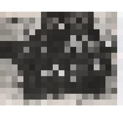 Фотография. Демобилизованные старшины и командование ТОФ а в 1946 г. В первом ряду С.П.Лисин