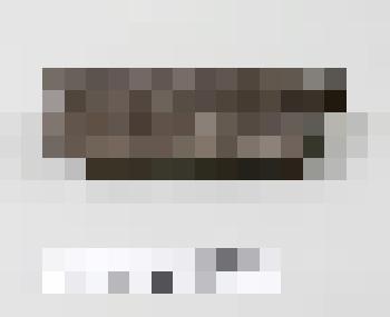 Окаменелое дерево. Окаменелость. Из комплекта: Коллекция минералов и горных пород