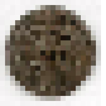 Монета. Российская империя