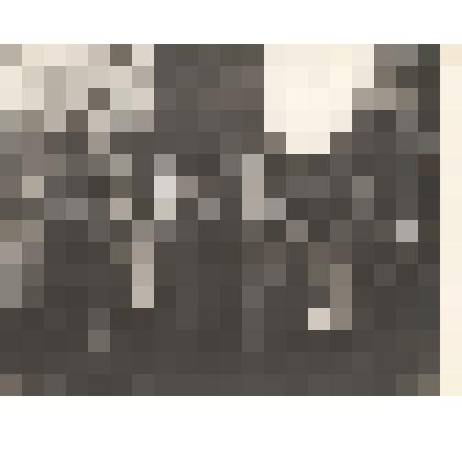 Фотография. Гребенщиковой Анна Васильевна в группе однополчан 7403 АД ПВО в Вологде