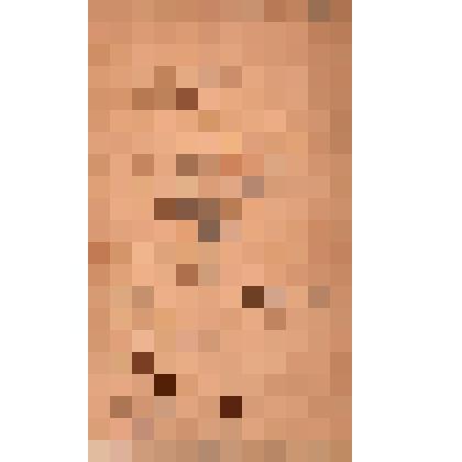 Фотография. Каменев Александр. На паспарту