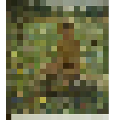 В летний день