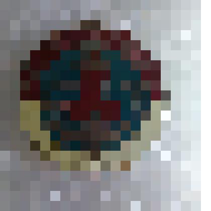 Значок «Общественный инспектор ГИМС»