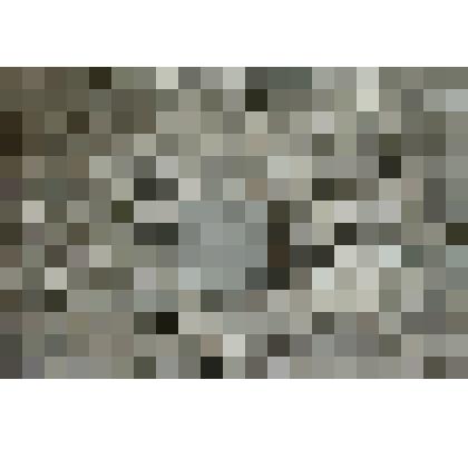 Монета Монголии 5 менге 1981 г