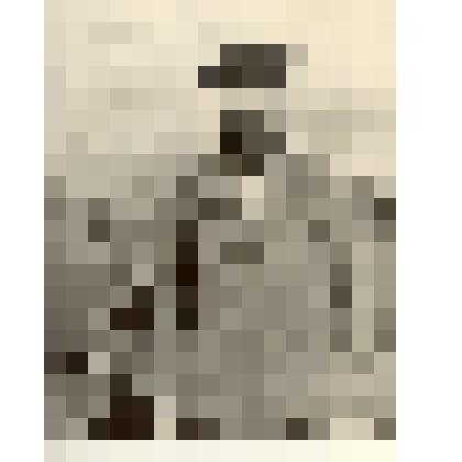 Фотография: Михайлов, бригадир свиноводческой бригады колхоза им. XX партсъезда Каменского района Алтайского края