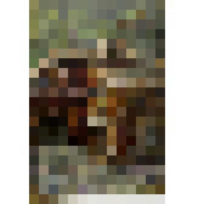 Живопись. Картина "Елабужский дворик"