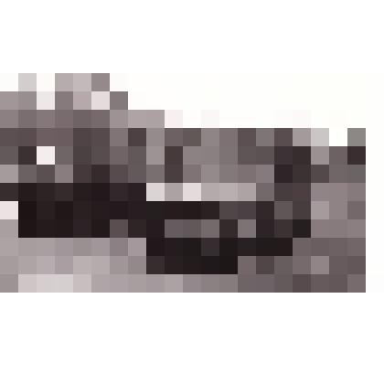 Фотография черно-белая "Ветераны на стадионе в день празднования 850-летия Верхней Тоймы"