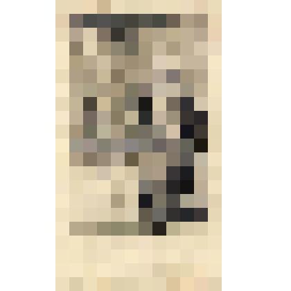 Заставка к книге