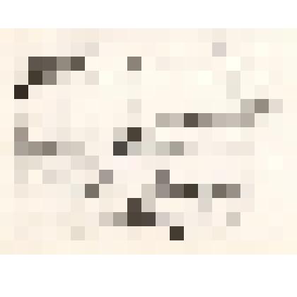 Фотография: копия благодарности №122 от 18 июня 1920 г.  Волчисполкома товарищу Ляпустину Алексею Ивановичу за сделанное пожертвование