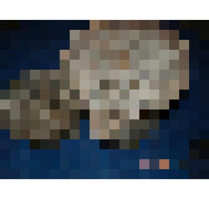 Ручная мельница (Крупорушка)