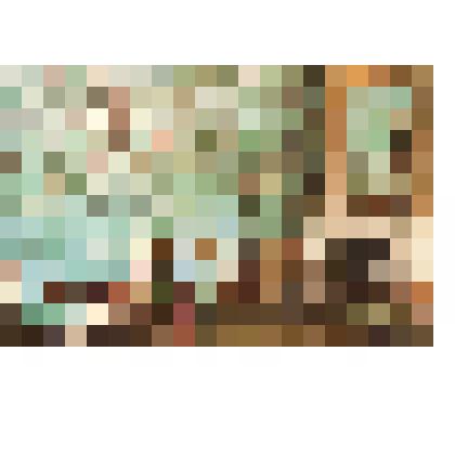 Открытка "Китайская голубая - гостиная" Екатерининский дворец 80-ег. 18в