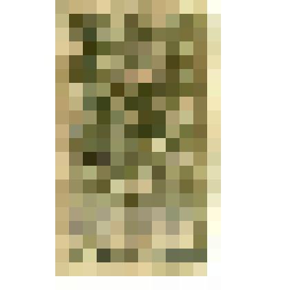 Марки почтовые. Марка почтовая. Гербова марка. цiна 1 карбов. (зеленый)