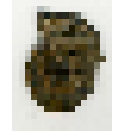 Нагрудный знак Гвардия