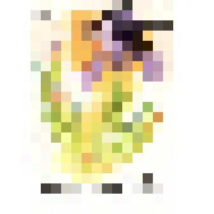 Марка почтовая. Почта СССР, 1986 год, 10 коп. Серия "Степные растения, занесенные в Красную Книгу СССР". Ирис низкий