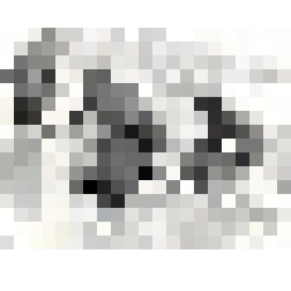 Фотография черно-белая. "Снег стаял"