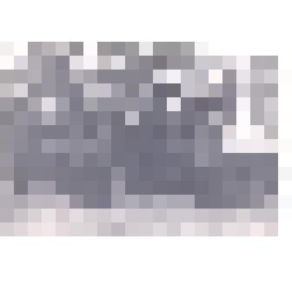 Фотография: генерал-майор Подшивайлов Денис Протасович среди офицеров